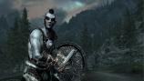 The Elder Scrolls V Skyrim, скриншот №5