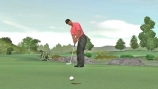 Tiger Woods PGA Tour 08,  2