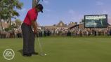 Tiger Woods PGA Tour 10,  2