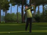 Tiger Woods PGA Tour 10,  1